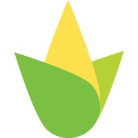 Cornucopia Popcorn