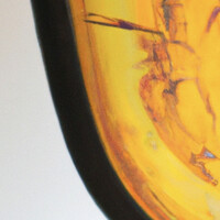 Amber Investments logo - Similar company to Pace Scheduler