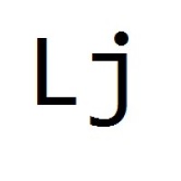L&J Transportes logo - Similar company to Sa Express