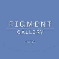 Pigment Gallery Paris logo - Similar company to Adrien Coelho