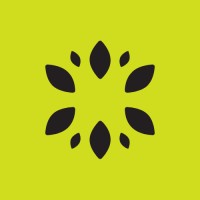 KiwiBytes logo - Similar company to Team Pasbaan