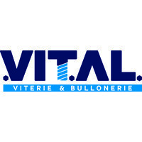 Vital S.p.A. logo - Similar company to Open Mind Tech