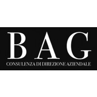 BAG srls logo - Similar company to Bag Electronics Gmbh