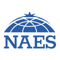 NAES - Nilsson Advanced Electronic Systems logo - Similar company to Bass Technology