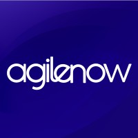 Agilenow.eu logo - Similar company to Findmore Solutions
