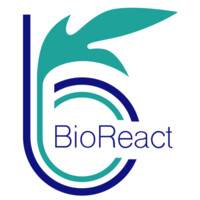 BioReact logo - Similar company to Upper Sound