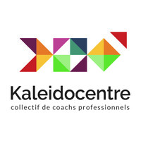 KALEIDOCENTRE logo - Similar company to Berrycom
