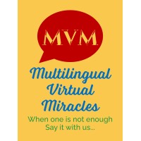 Multilingual Virtual Miracle logo - Similar company to Tndtech Kft.