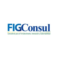 FIGCONSUL logo - Similar company to Omedso