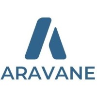 Aravane Semitech Pvt. Ltd logo - Similar company to Zemicon