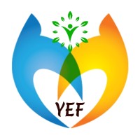 Youth Empowerment Foundation logo - Similar company to Handout Foundation