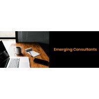 Emerging Consultants logo - Similar company to Mi Enterprise