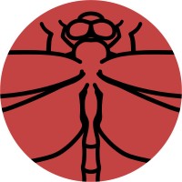 ImagoSTUDIO logo - Similar company to Visual Kinky
