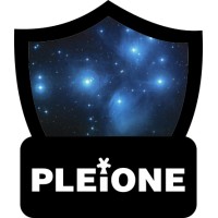 Pleione logo - Similar company to Blocksmith Guild