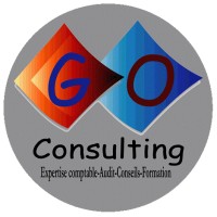 G.O. CONSULTING logo - Similar company to Comafi Gabon