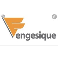 Engesique Engenharia Construções e Montagens logo - Similar company to Engtox Engenharia De Soluções