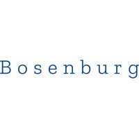 Bosenburg logo - Similar company to Plus Academia