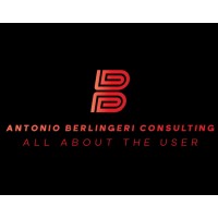 Berlingeri Consulting logo - Similar company to Workza Solutions