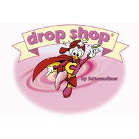 Drop Shop Schwandtner logo - Similar company to Spg System Provider Production Group Gmbh