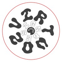 VirtuoZ Design logo - Similar company to Salomia Design