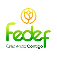 FEDEF | Fondo de Empleados logo - Similar company to Fecolsa - Fondo De Empleados De Colsanitas