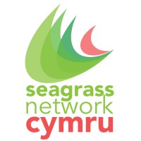 Seagrass Network Cymru logo - Similar company to Centre For Blue Governance