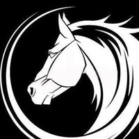 St. George Group logo - Similar company to Rmc