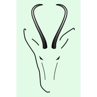 SPRINGBOK DRILLING LTD. logo - Similar company to Global Mine Design Ltd