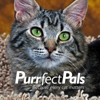 Purrfect Pals Cat Adoption Centers logo - Similar company to Seattle Area Feline Rescue