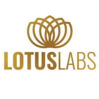 LotusLabs Consultancy logo - Similar company to Betica Technology Solutions Limited