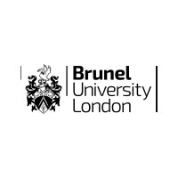 Brunel Social Work logo - Similar company to Ayo Post