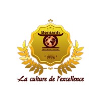 Fondation BENIANH International logo - Similar company to Bénin Projects
