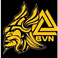 ASSOCIACAO DESPORTIVA DE FUTEBOL AMERICANO BOA VISTA NORDICS logo - Similar company to São José Jets