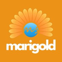 Marigold Services - Pakistan logo - Similar company to Marigold Services