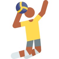 Volleyball Advisor logo - Similar company to Gnosidoor