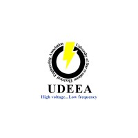 udeea_udsm logo - Similar company to Luku-Chap