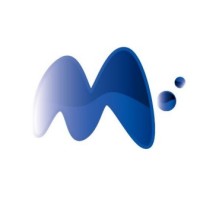 Microsys Technology Company for Integrated Computer Solutions logo - Similar company to Cptechnik
