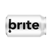 Brite logo - Similar company to Dig