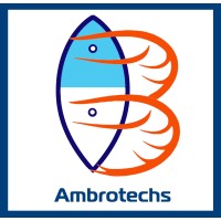 Ambrotechs logo - Similar company to Iprotechs