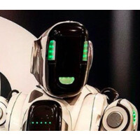 Robozao Usa