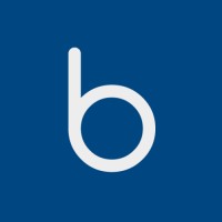 Bluesteel logo - Similar company to Mestieri