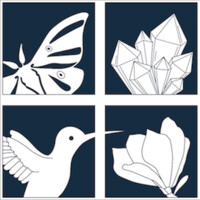 Actias logo - Similar company to Cocoen.Com