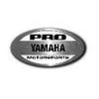 Barneys Yamaha Suzuki Brandon logo - Similar company to American Suzuki Inc