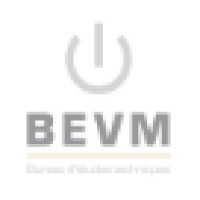 BEVM logo - Similar company to Synergeance