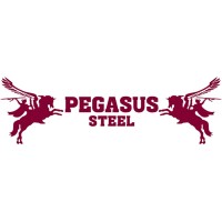 Pegasus Steel (PTY) LTD- SOUTH ARICA logo - Similar company to Pcmp
