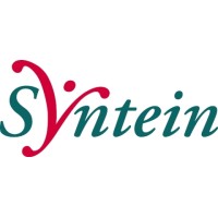 Syntein logo - Similar company to Schakel Stuurt