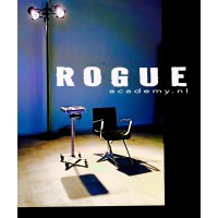ROGUE.academy logo - Similar company to Seton Kappers