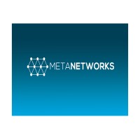 Metanetworks