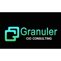 Granuler, CIO Consulting logo - Similar company to Vrk Infotech