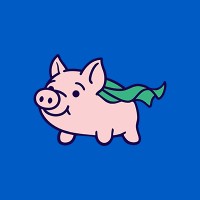 Flying Pig Payment Processing logo - Similar company to Cybermount Solutions Private Limited